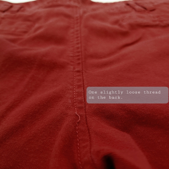 Zara TRF Red Pants - Picture 6 of 6